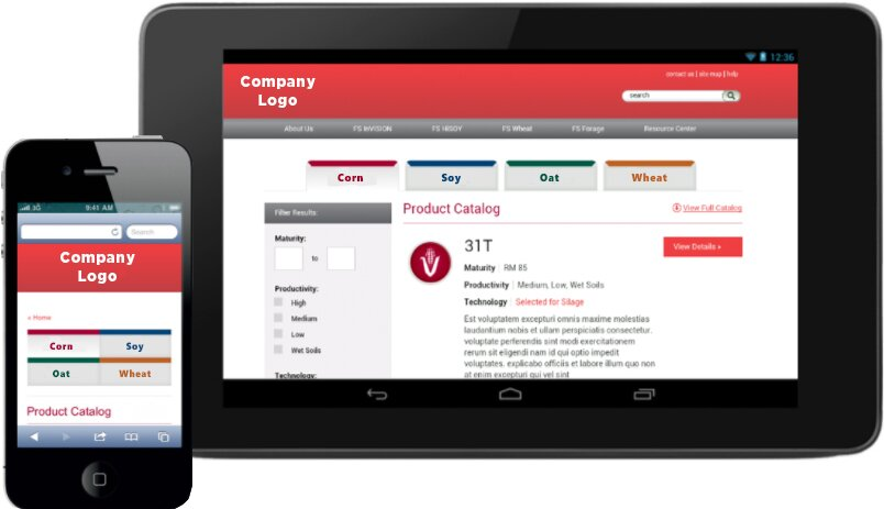 Intranet and Extranet Design