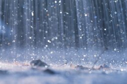 Rain.jpg
