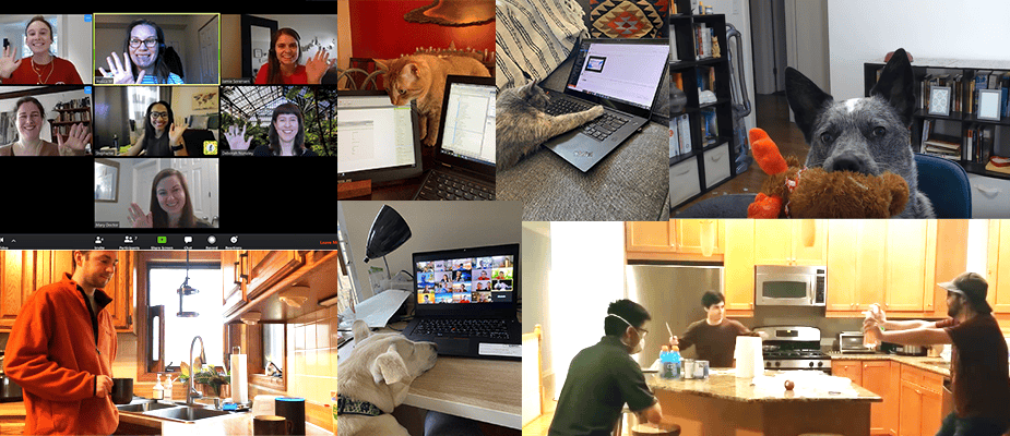 dmc-chicago-works-from-home-blog