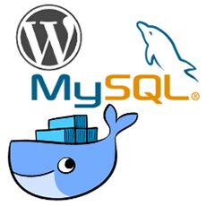 Setting Up Docker for WordPress Development