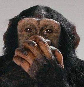 speak-no-evil_new.jpg