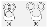 topology1