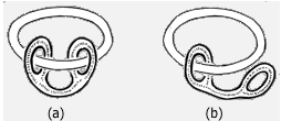 topology2