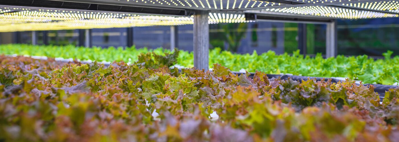 Leveraging Remote IO for Indoor Vertical Farming