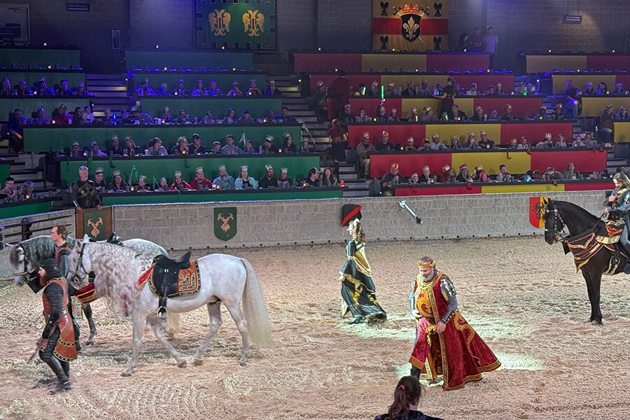 People in Medieval costumes with horses in an arena